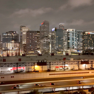 PPIM Mardi Gras Masquerade Party