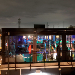 PPIM Mardi Gras Masquerade Party